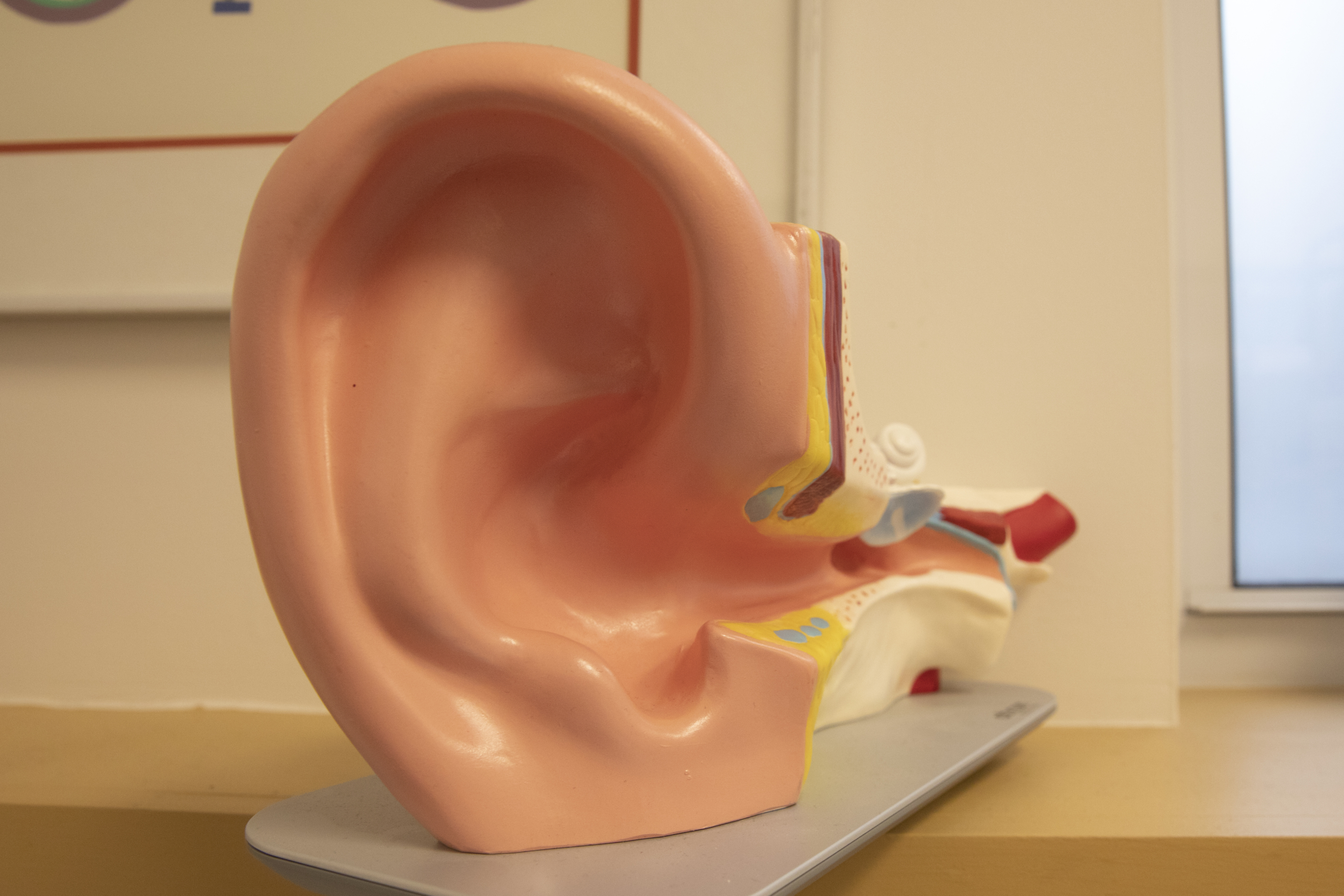 Sensation d'oreille bouchée : à quoi est-ce dû ?